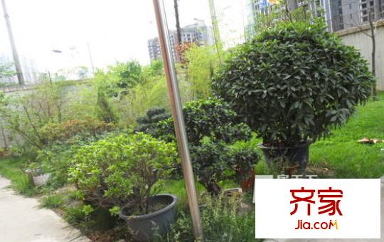 桃園南路第三社區(qū)外景圖太原  