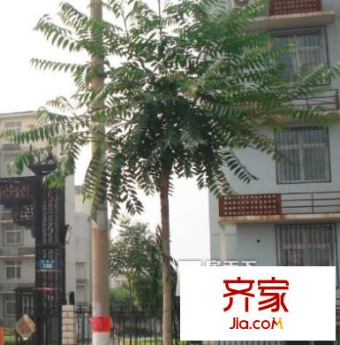 順馳城市藝墅外景圖太原 順馳 城市藝墅 