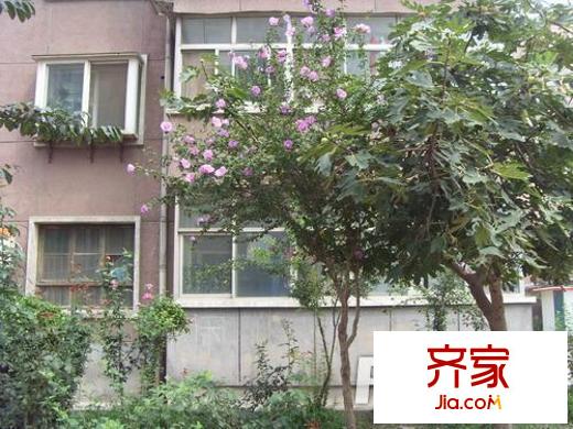 皮鞋廠宿舍外景圖太原  