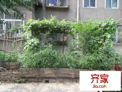 永康小區(qū)外景圖 