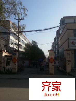 滌綸廠宿舍外景圖 