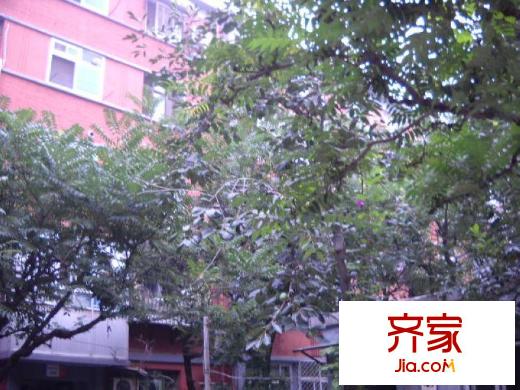 永定路鐵路小區(qū)外景圖太原  
