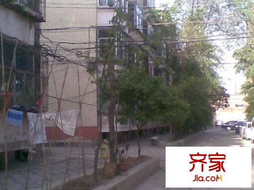 煤干院宿舍外景圖 