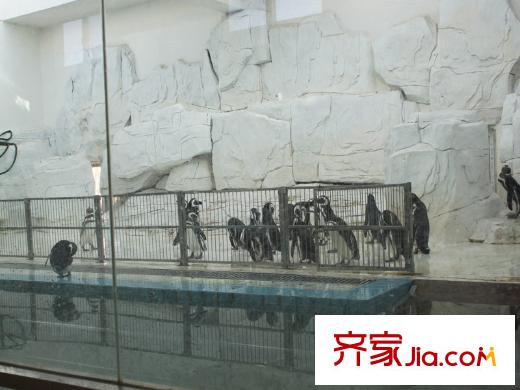 茂園小區(qū)配套圖周邊動物園