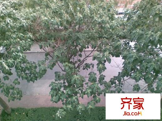 太原師范學(xué)院宿舍外景圖 