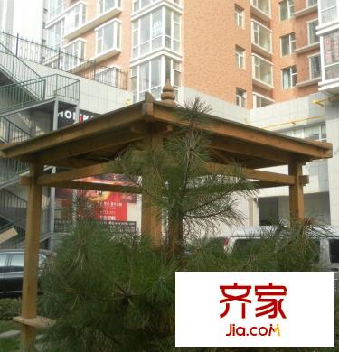 金地世嘉外景圖 