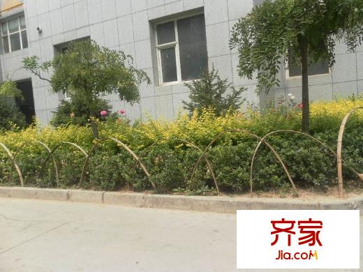 金地世嘉外景圖 