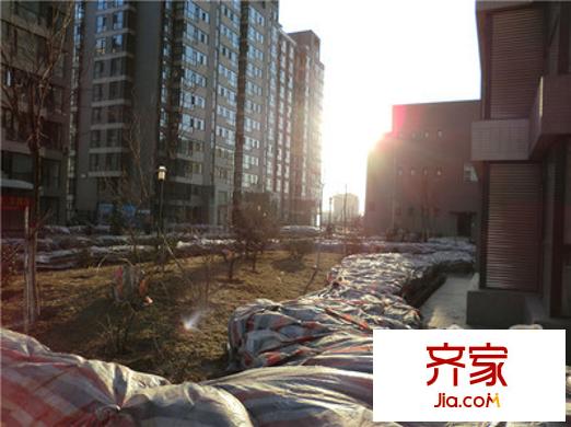 龍灣國際外景圖 