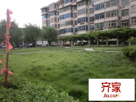 棉麻小區(qū)外景圖 