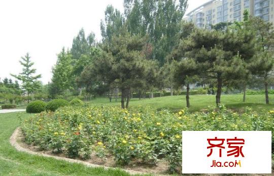 煤炭公寓外景圖太原  