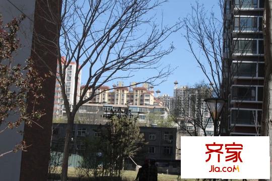金林佳園外景圖:實景圖