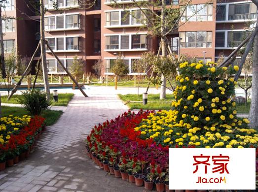 金林佳園外景圖 
