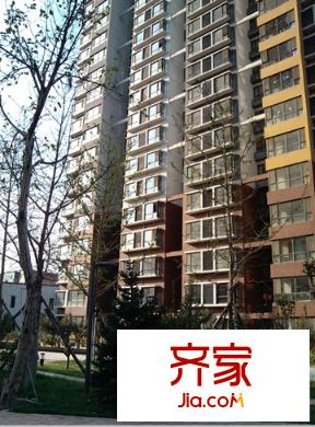 金林佳園