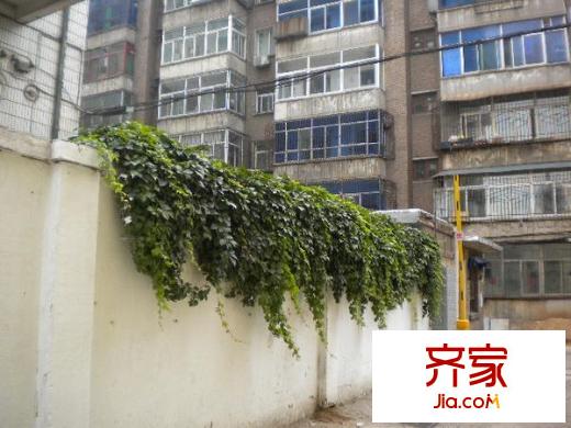 警樂(lè)苑小區(qū)外景圖太原  