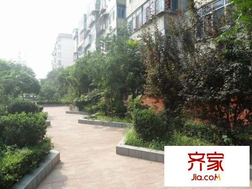迎春小區(qū)外景圖 