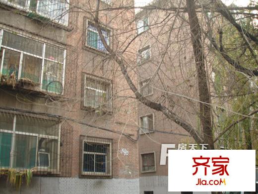 前進(jìn)路煤氣化宿舍外景圖DSC03885