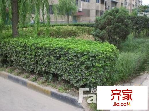 開元北小區(qū)外景圖太原  