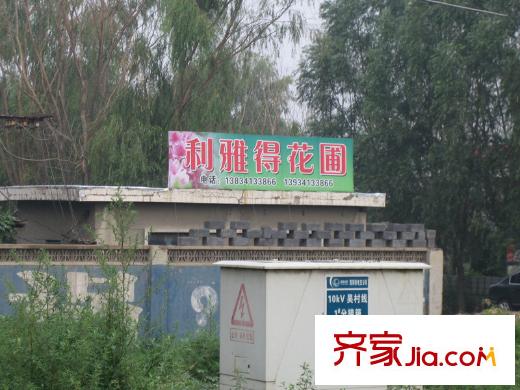 龍城半島配套圖周邊花圃