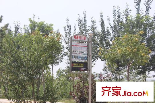 首創(chuàng)?國際學園周邊公交站牌