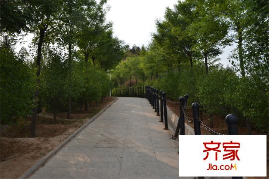 香溪玫瑰園