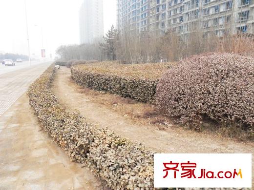 帝國魔碼5米4長風街2013.1.15