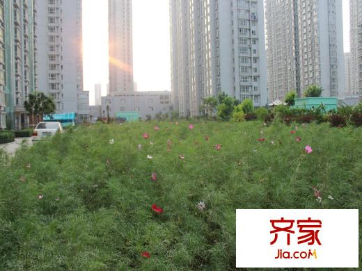 西岸小區(qū)20130816