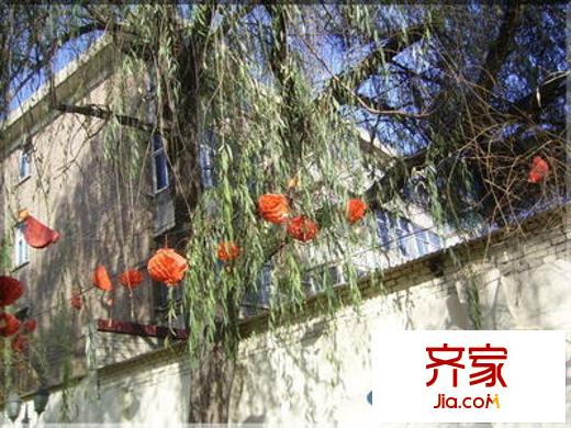 二二九隊(duì)小區(qū)外景圖 