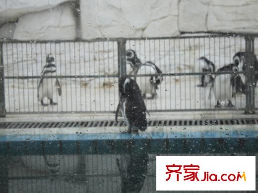 享堂新城周邊動(dòng)物園