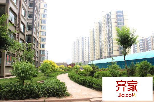 城南都市嘉園小區(qū)綠化（2015-05-28）