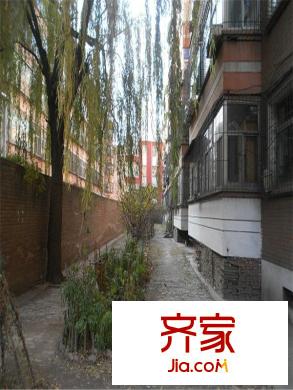 文杏苑外景圖 