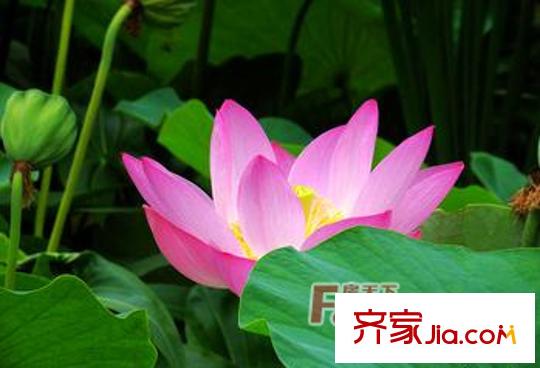 景鴻大廈向西50米 玉門河公園