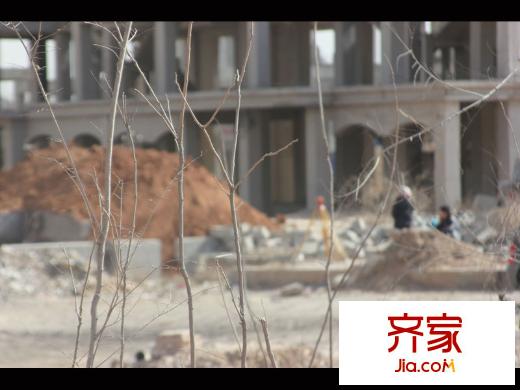 夏威夷北岸工地挖土機(jī)作業(yè)（2013.3.7）