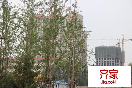 泛華林與湖工地實景(2015-05-28)