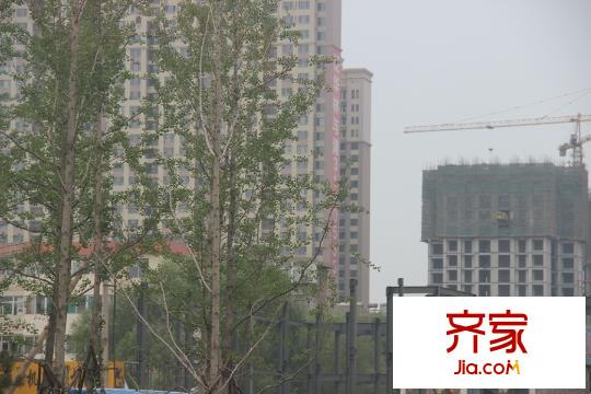 泛華林與湖工地實景(2015-05-28)