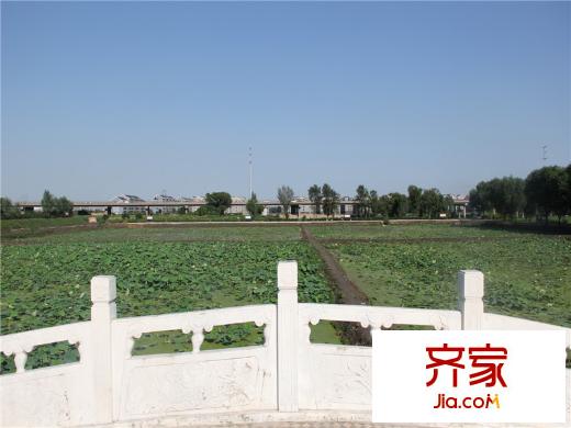 漫香林溪小區(qū)內(nèi)橋（20131017）