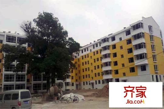 蘭源古槐工地（20150528）