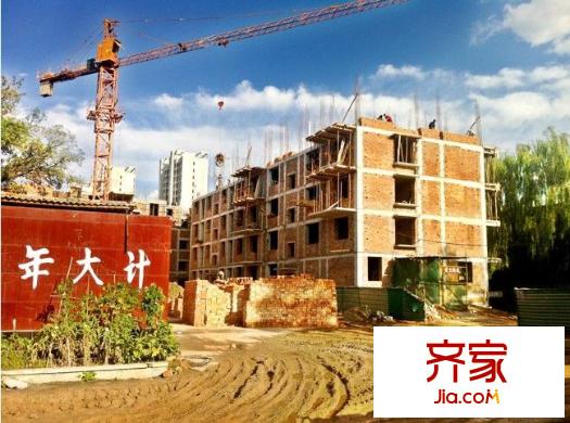 蘭源古槐（20130107）