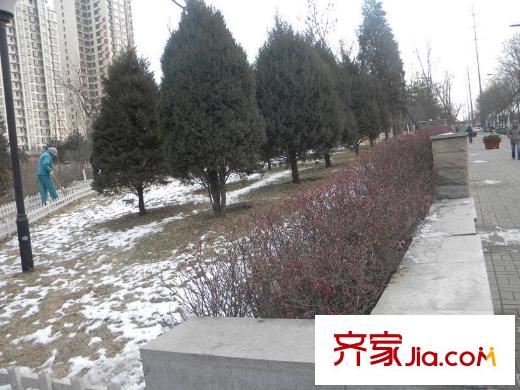 府東美奧花苑周邊-五龍公園