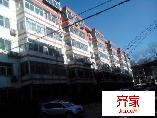 育龍?jiān)吠饩皥D 