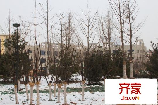 金域閱山工地2014.2.19