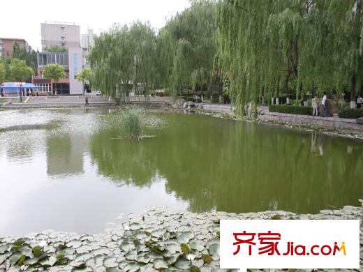 金域閱山周邊玉門河公園夏景