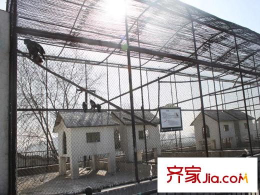 星光大道5米2周邊配套 太原動物園