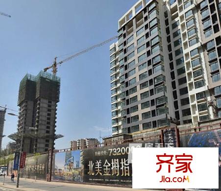 北美金棕櫚太原  