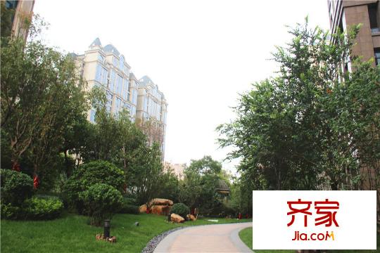 恒大華府小區(qū)綠化（2015-09-07）