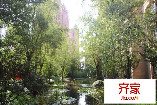 太原星河灣小區(qū)園林（2015-10-12）