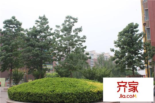 辰興文教城五期工地（2015.5.28）