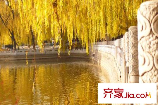 湖濱晉庭周邊配套迎澤公園