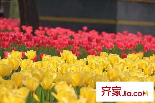 湖濱晉庭周邊配套迎澤公園