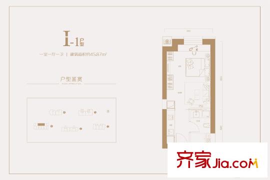 華潤(rùn)悅府I1戶型 1室1廳1衛(wèi)1廚