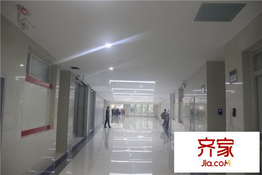 競杰?常青藤常青藤知達(dá)實驗中學(xué)（2015-9-10）